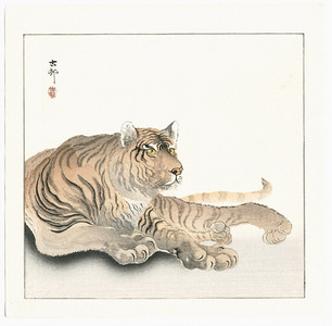 小原古邨: Reclining Tiger (Muller Collection) - Artelino