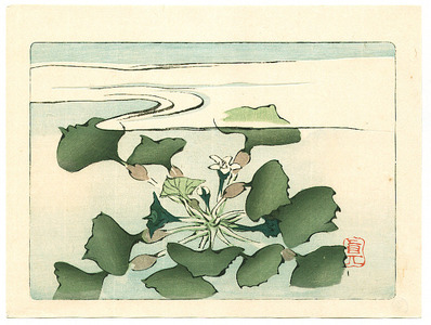 Shibata Zeshin: Water Plant - Hana Kurabe - Artelino