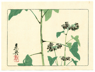 Shibata Zeshin: Flowering Plant - Hana Kurabe - Artelino