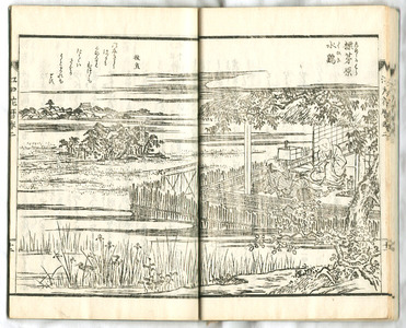 Hasegawa Settan: Flower Calender of Edo Vol.2 and Vol.3 (2 vols, e-hon book) - Artelino