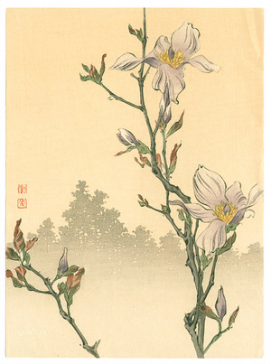 古峰: Magnolia (Muller Collection) - Artelino