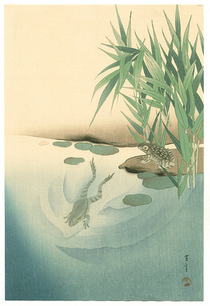 Watanabe Seitei: Two Frogs in a Pond (Muller Collection) - Artelino