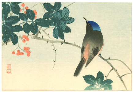 Ito Sozan: Blue Head Bird on Nanten Tree - Artelino