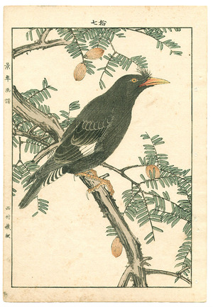 Imao Keinen: Exotic Bird and Plant - Keinen Gafu - Artelino