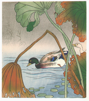 Unknown: Mallard and Lotus Leaves - Artelino