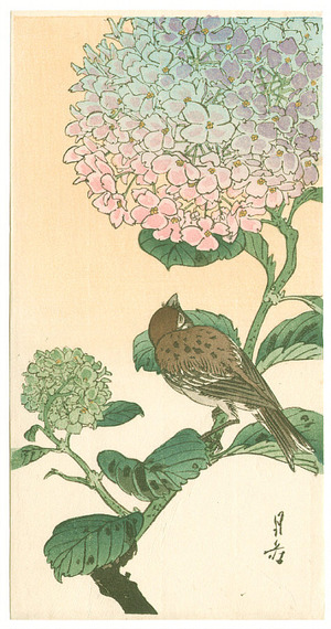 Yoshimoto Gesso: Sparrow and Hydrangea (Muller Collection) - Artelino