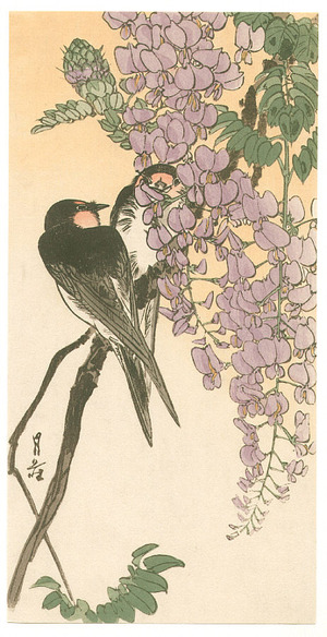 Yoshimoto Gesso: Two Swallows and Wisteria (Muller Collection) - Artelino