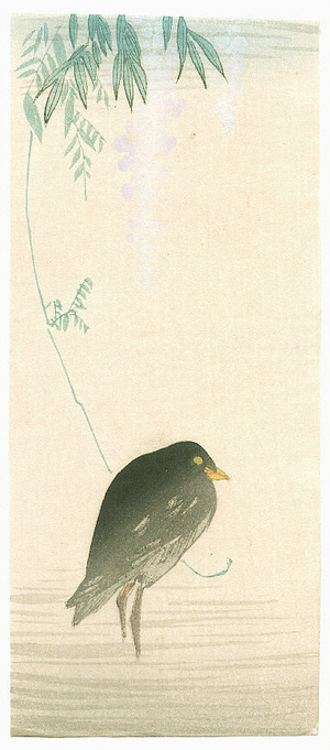無款: Black Bird and Wisteria (Muller Collection) - Artelino