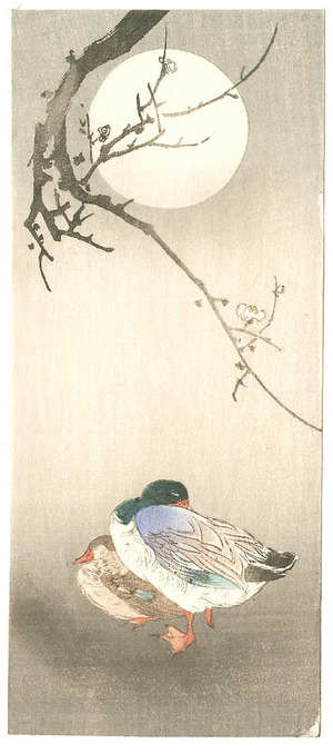 Unknown: Mallards and the Moon (Muller Collection) - Artelino