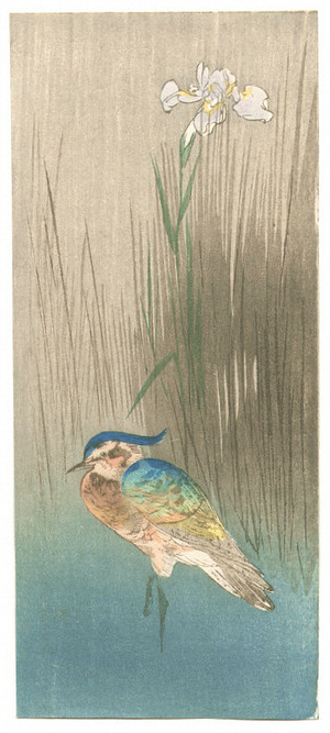 Unknown: Bird and Iris (Muller Collection) - Artelino