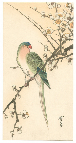 Unknown: Parrot and Plum (Muller Collection) - Artelino