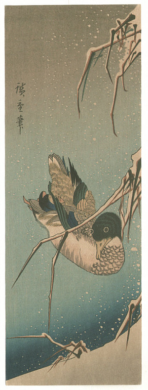 歌川広重: Mallard in Snowy Pond (Muller Collection) - Artelino