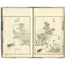 日本版画 "Insects and Flowers - Senryudo Gafu (e-hon)" 由 Unknown, 無款 (null) 创作