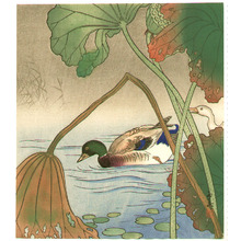 Unknown: Mallard and Lotus Leaves - Artelino