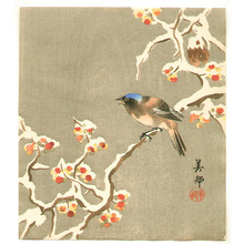 Takahashi Biho: Bird on Snow Covered Berry Branch - Artelino