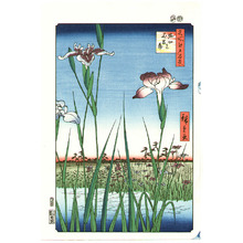 Utagawa Hiroshige: Iris Garden at Horikiri - Meisho Edo Hyakkei - Artelino