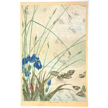 酒井抱一: Iris and Water Lily - Rimpa School Series - Artelino