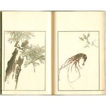 Unknown: Sketches of Keisai - Keisai So Ga (e-hon book) - Artelino