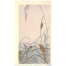 小原古邨: Grasshoppers - Artelino