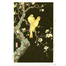 Nishimura Hodo: Plum Blossoms and Canaries - Artelino