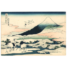 Katsushika Hokusai: Umezawazai - Fugaku Sanju-rokkei - Artelino