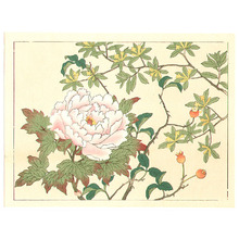 日本版画 "Peony and Orange Berries" 由 Unknown, 無款 (null) 创作