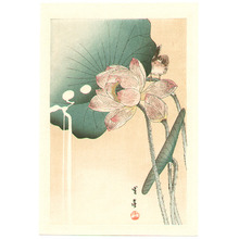 Watanabe Seitei: Bird and Lotus Flower (postcard size) - Artelino