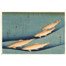 歌川広重: Ayu - Uo Zukushi (Fish Series) - Artelino