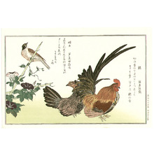 Kitagawa Utamaro: Chiken and Bunting - Artelino