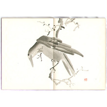 日本版画 "Picture Lessons by Kajo Vol.3 - Kajo Shuga Cho (e-hon)" 由 Unknown, 無款 (null) 创作