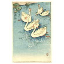 小原古邨: Swimming White Geese (small print) - Artelino