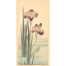 Unknown: Iris and Frog - Artelino