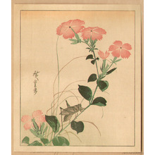 Ando Hiroshige, 歌川広重 (Ando Hiroshige)による浮世絵「Flower and Cricket」