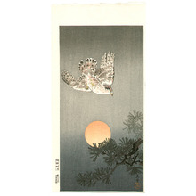 風光礼讃: Hawk and Setting Sun - Artelino