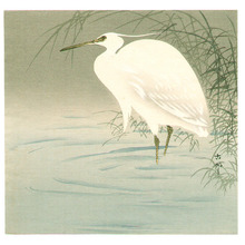 Ohara Koson: Wading Egret - Artelino