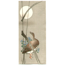 Unknown: Wild Duck, Reed and Full Moon - Artelino