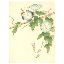 Unknown: Morning Glories and Bee - Artelino