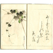幸野楳嶺: Flowers of the Ages - Miyo no Hana Vol.7 (e-hon) - Artelino