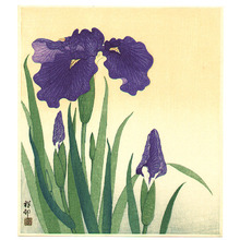 Ohara Koson: Flowering iris - Artelino