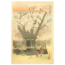 尾形月耕: Ancient Cherry Tree - Flowers of Japan - Artelino