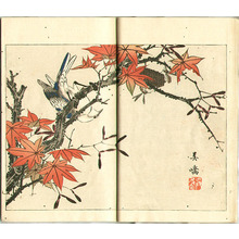 日本版画 "Flowers of the Ages - Vol.8 (e-hon book)" 由 Unknown, 無款 (null) 创作