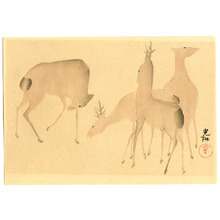 Ogata Korin After: Deer and Spring Flowers - Artelino