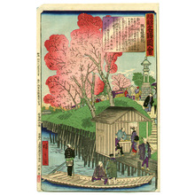 Suzuki Hiroshige (Utagawa III Hiroshige)による浮世絵「Cherry Blossoms at Sumida Banks - Famous Places of Tokyo」