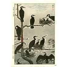 Kasamatsu Shiro: Cormorants - Artelino