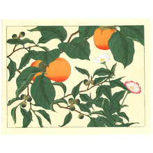 Sakai Hoitsu: Persimmons and Flowers - Artelino