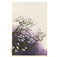 Kotozuka Eiichi: Cherry Blossoms - Artelino