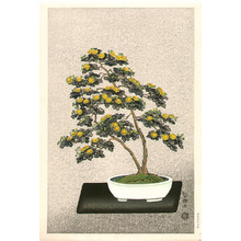 Ito Nisaburo: Bonsai Chrysanthemum (right panel) - Artelino