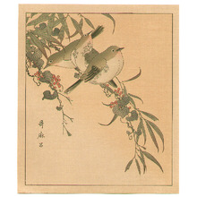 Kitagawa Utamaro: Japanese White Eye - Artelino