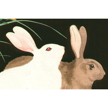 Nishimura Hodo: Rabbits - Artelino