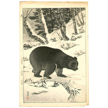 Kasamatsu Shiro: Bear - Artelino